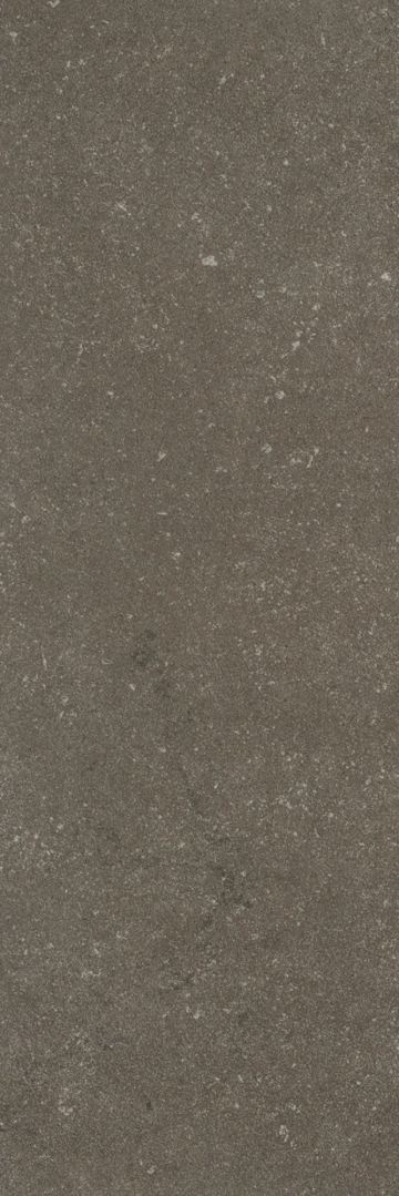 Cotto D'este Buxy Cendre naturalna 100x300 cm gr. 4 mm
